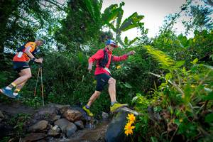 BIB: 
                            <button type="button" onclick="openModal(15974818)" class="btn btn-primary btn-sm float-right btn-popup" data-toggle="modal" data-target=".modal-high-quality">
                        <i class="fas fa-shopping-cart"></i> Add to Cart
                    </button>
                                            <button type="button" onclick="isThisMe(15974818, true)" class="btn btn-success btn-sm float-right btn-popup btn-isme hidden" data-toggle="tooltip" data-placement="bottom" title="นี่คือรูปของคุณใช่ไหม คลิกที่นี่เพื่อเอาเข้าอัลบั้ม">
                        <i class="fas fa-plus"></i> Add to album
                    </button>
                    <button type="button" onclick="isThisMe(15974818, false)" class="btn btn-warning btn-sm float-right btn-popup btn-isnotme hidden">
                        <i class="fas fa-ban"></i> Remove from album
                    </button>